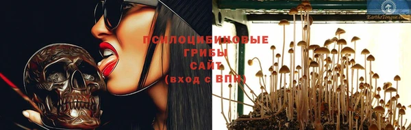 apvp Майский