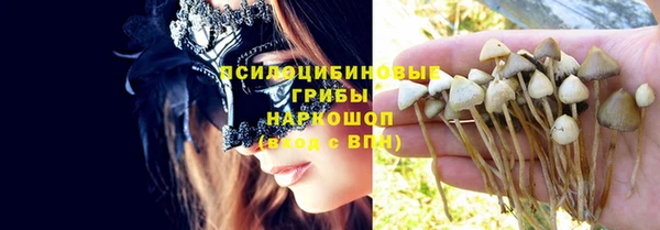 apvp Майский