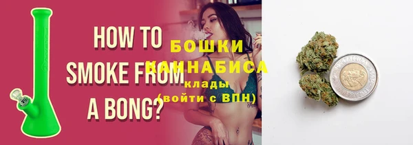 прущие грибы Магадан