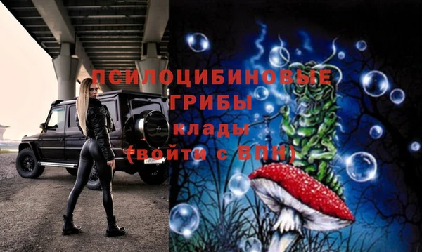 apvp Майский