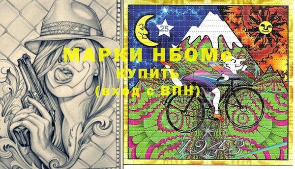 прущие грибы Магадан