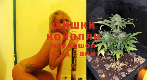 прущие грибы Магадан