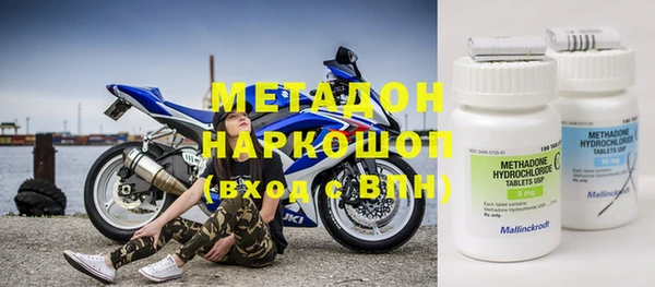 прущие грибы Магадан