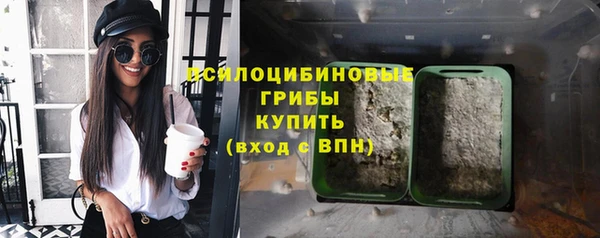 apvp Майский