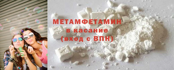 прущие грибы Магадан