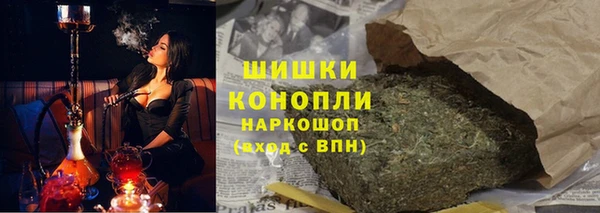 прущие грибы Магадан